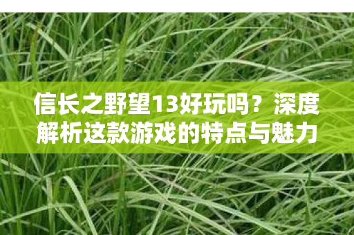 深度解析这款游戏的特点与魅力图片