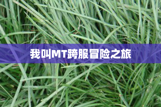 我叫MT跨服冒险之旅 我叫MT跨服冒险之旅
