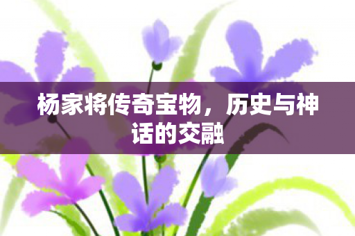 杨家将传奇宝物,历史与神话的交融 杨家将传奇宝物,历史与神话的交融