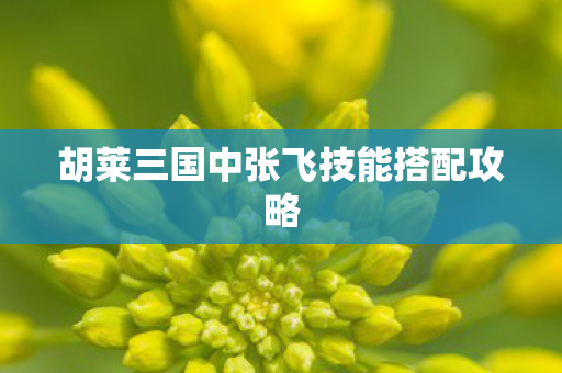 胡莱三国中张飞技能搭配攻略