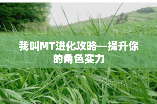 我叫MT进化攻略图片
