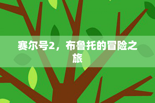 赛尔号2,布鲁托的冒险之旅 赛尔号2,布鲁托的冒险之旅