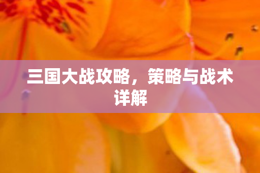 策略与战术详解图片