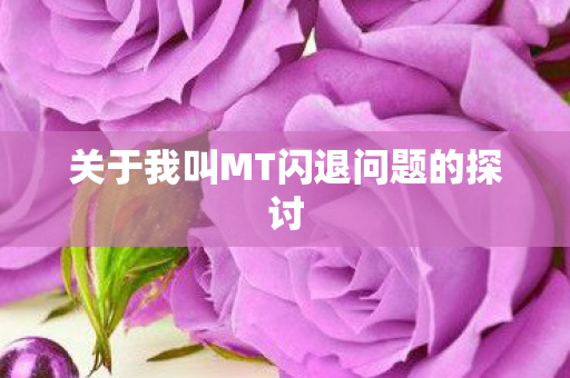 关于我叫MT闪退问题的探讨