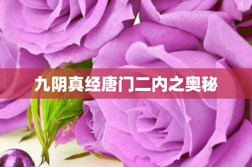 九阴真经唐门二内之奥秘 九阴真经唐门二内之奥秘