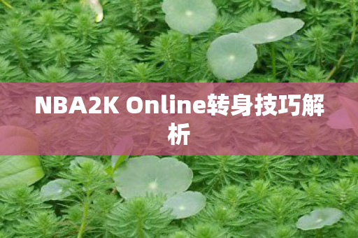 NBA2K Online转身技巧解析 NBA2K Online转身技巧解析