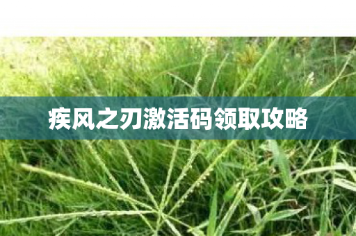 疾风之刃激活码领取攻略 疾风之刃激活码领取攻略