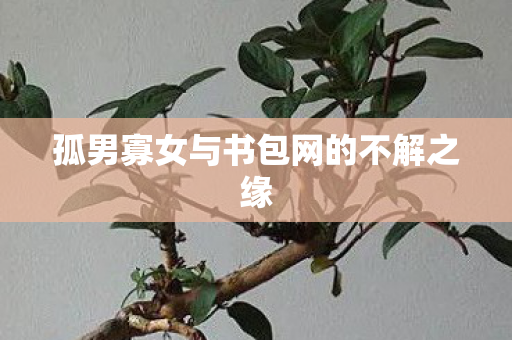 孤男寡女与书包网的不解之缘 孤男寡女与书包网的不解之缘