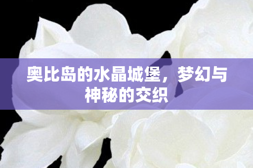 奥比岛的水晶城堡图片