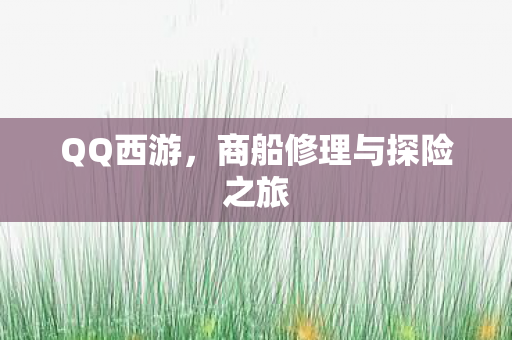 商船修理与探险之旅图片