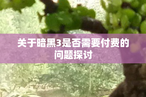 关于暗黑3是否需要付费的问题探讨 关于暗黑3是否需要付费的问题探讨