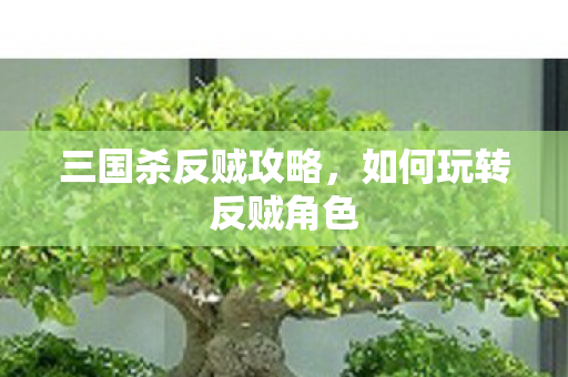 三国杀反贼攻略,如何玩转反贼角色 三国杀反贼攻略,如何玩转反贼角色