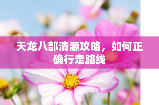 天龙八部清源攻略，如何正确行走路线