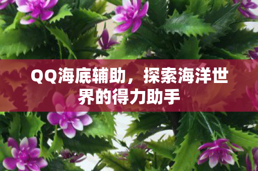 QQ海底辅助,探索海洋世界的得力助手 QQ海底辅助,探索海洋世界的得力助手