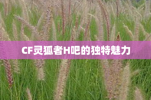 CF灵狐者H吧的独特魅力