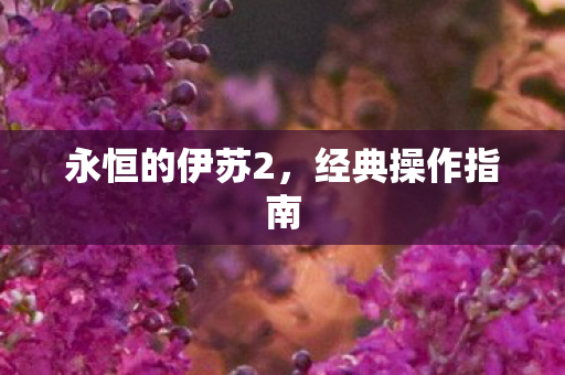永恒的伊苏2图片