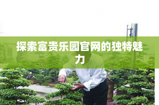 探索富贵乐园官网的独特魅力图片