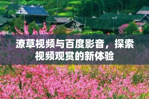 探索视频观赏的新体验图片