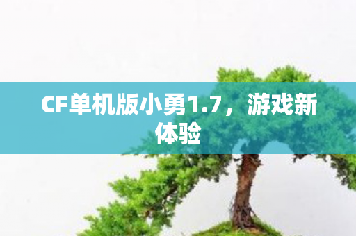 CF单机版小勇1图片