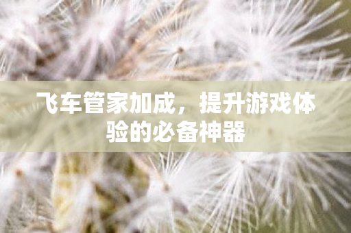 提升游戏体验的必备神器图片