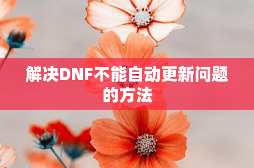 解决DNF不能自动更新问题的方法图片