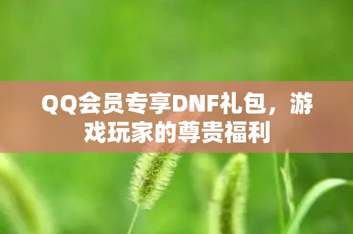 QQ会员专享DNF礼包图片