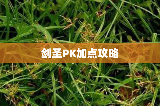 剑圣PK加点攻略图片