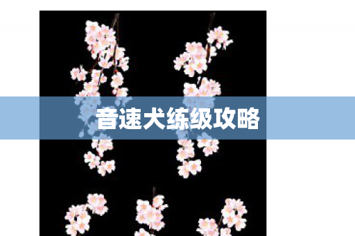 音速犬练级攻略图片