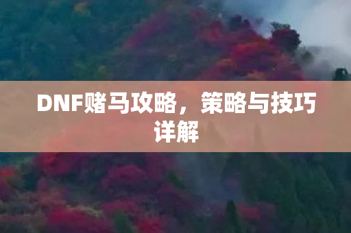 DNF赌马攻略图片