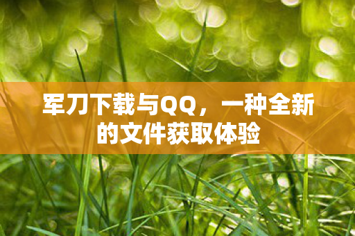一种全新的文件获取体验图片