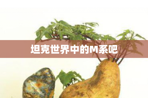 坦克世界中的M系吧图片