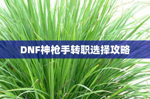 DNF神枪手转职选择攻略图片
