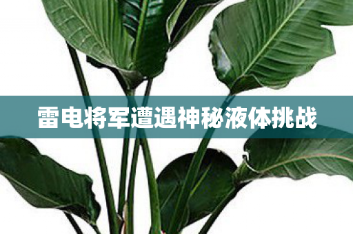 雷电将军遭遇神秘液体挑战图片