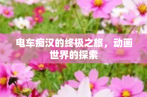 电车痴汉的终极之旅图片