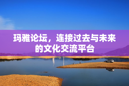 连接过去与未来的文化交流平台图片