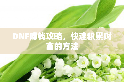 快速积累财富的方法图片