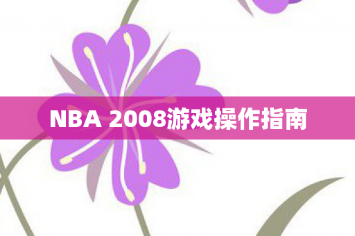 NBA 2008游戏操作指南图片