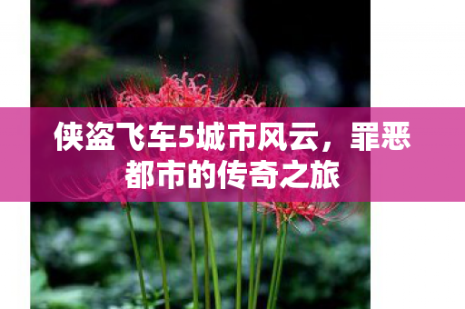 侠盗飞车5城市风云图片