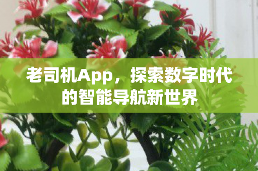 探索数字时代的智能导航新世界图片
