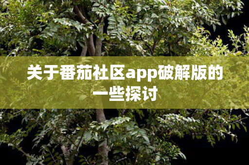 关于番茄社区app破解版的一些探讨图片