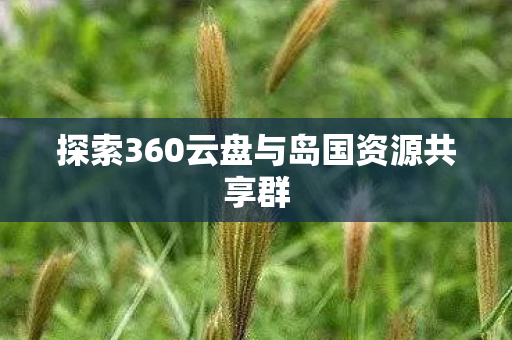 探索360云盘与岛国资源共享群图片