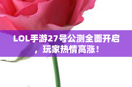 LOL手游27号公测全面开启图片