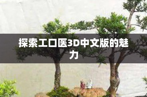 探索工口医3D中文版的魅力图片