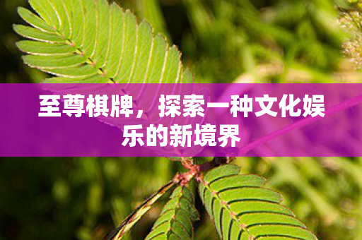 探索一种文化娱乐的新境界图片