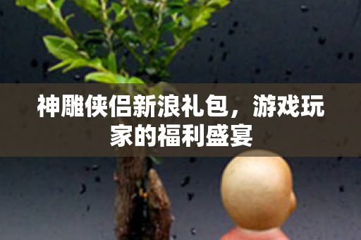 游戏玩家的福利盛宴图片