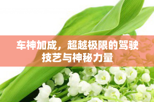 超越极限的驾驶技艺与神秘力量图片