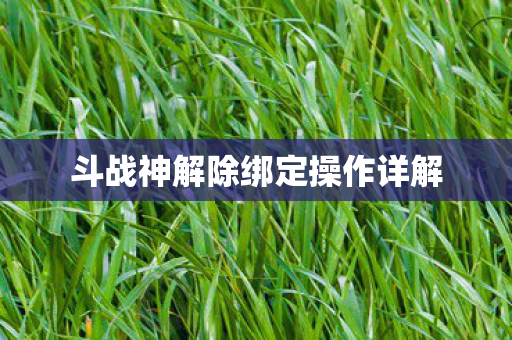 斗战神解除绑定操作详解图片