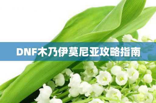 DNF木乃伊莫尼亚攻略指南图片