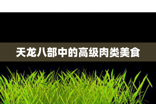 天龙八部中的高级肉类美食图片