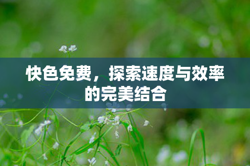 探索速度与效率的完美结合图片